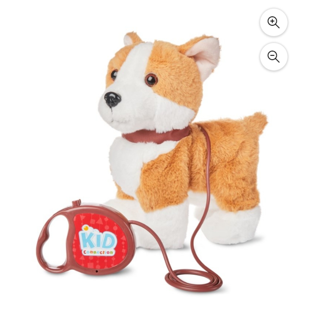 Puppy on a leash